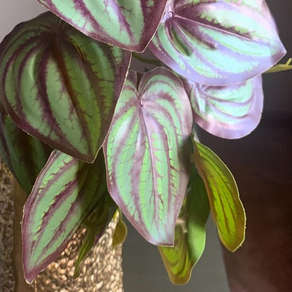 Realistic Faux Artificial Mini 6"x7" Watermelon Peperomia Plant Vase Accent New - Picture 3 of 3